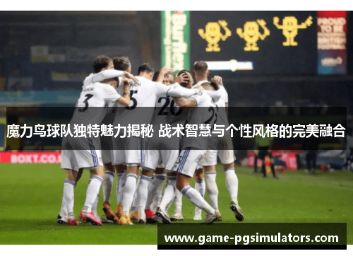 魔力鸟球队独特魅力揭秘 战术智慧与个性风格的完美融合