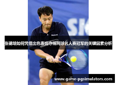 张德培如何凭借出色表现夺得网球名人赛冠军的关键因素分析