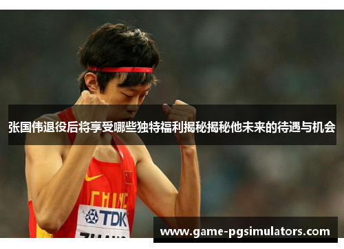 张国伟退役后将享受哪些独特福利揭秘揭秘他未来的待遇与机会